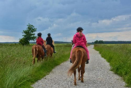  Islandpferde Frankenhhe - Wanderritte, Reitunterricht und Kindergeburtstage (zwischen Nrnberg und Ansbach)